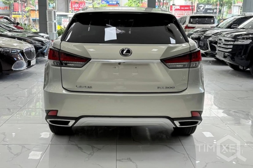 Xe vừa cập bên. Lexus RX300 sản xuất 2020, biển Hà Nội. - TimXe.Net