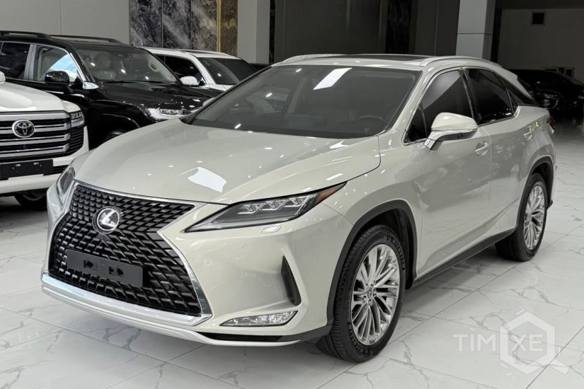 Xe vừa cập bên. Lexus RX300 sản xuất 2020, biển Hà Nội. - TimXe.Net