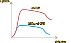 Hỗ trợ phanh khẩn cấp BAS - người bạn tin cậy trên mọi nẻo đường
