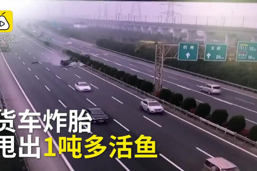 Xe tải nổ lốp trên đường cao tốc, gần 1 tấn cá sống văng ra đường