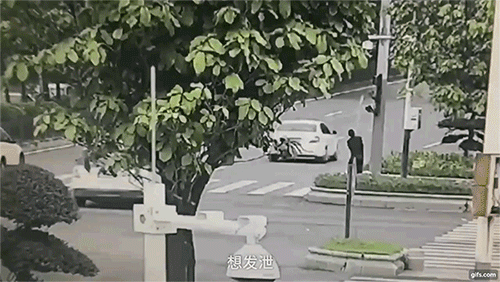 Đã ế còn bị đối xử bất công tại nơi làm việc, người đàn ông trút giận lên đèn tín hiệu giao thông Đã ế còn bị đối xử bất công tại nơi làm việc, người đàn ông trút giận lên đèn tín hiệu giao thông