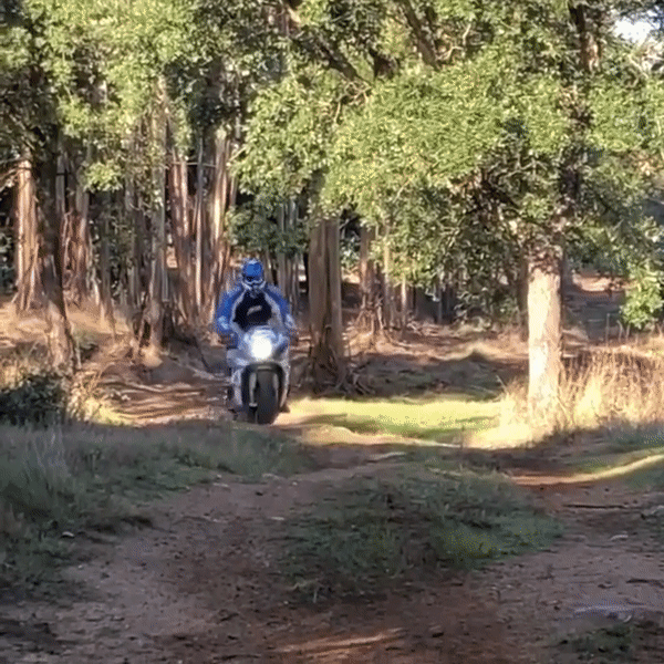 Thanh niên mang sport bike Suzuki GSX-R1000 vào off-road xuyên rừng và cái kết Thanh niên mang sport bike Suzuki GSX-R1000 vào off-road xuyên rừng và cái kết