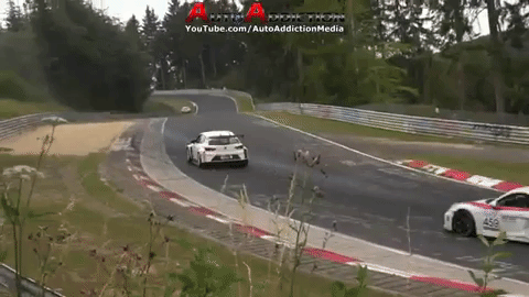 2 chiếc Porsche Cayman tông vào nhau tại đường đua 2 chiếc Porsche Cayman tông vào nhau tại đường đua