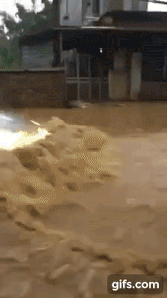 Video Hyundai Grand i10 lội nước như tàu ngầm ở Cao Bằng gây xôn xao mạng xã hội Video Hyundai Grand i10 lội nước như tàu ngầm ở Cao Bằng gây xôn xao mạng xã hội