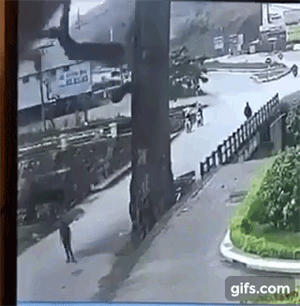 Hà Giang: Đang đi bộ thì bị cành cây gạo rơi trúng đầu, nam thanh niên tử vong tại chỗ Hà Giang: Đang đi bộ thì bị cành cây gạo rơi trúng đầu, nam thanh niên tử vong tại chỗ